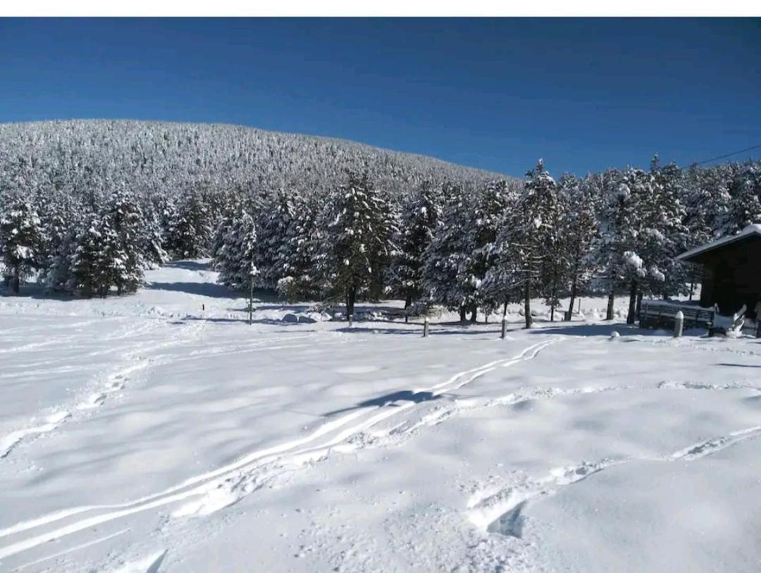 Apartamento En El Pirineo Catalan Sant Jordi de Cercs Zewnętrze zdjęcie